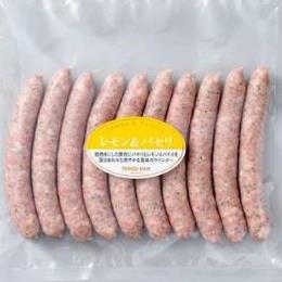 ���������p�Z���E�C���i�[�@�S�V�Qg