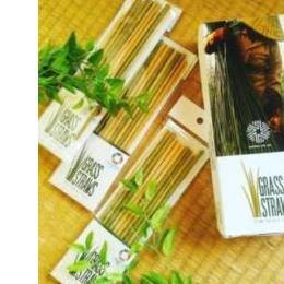 GRASS STRAWS 10本パッケージ(100袋・1セット)