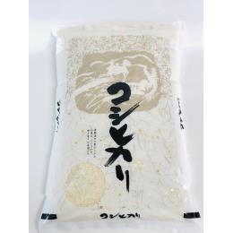 コシヒカリ　但馬産