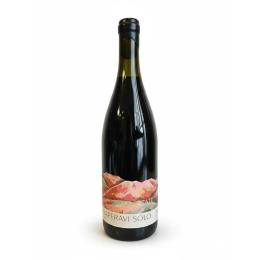 �W���[�W�A���C�� �T�y�����B �ԃ��C�� 2023 �e�B�R�G�X�e�C�g