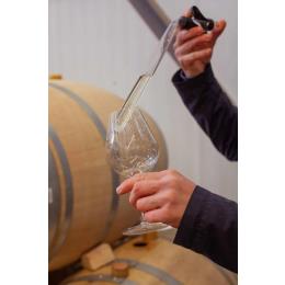 �W���[�W�A �����C�� �M�n���q�t���B 2023 �e�B�R�G�X�e�C�g((1�E1�^�{))