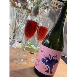 �y�b�g�i�b�g ���R�h�X�p�[�N�����O �T�y�����B 2022 �V���l�e�B((1�E1�^�{))