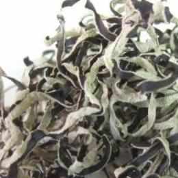 �؎��@�����@�����@�ۏ��@�����@�X���C�X�@��2mm�@��2-4cm�@1kg�l