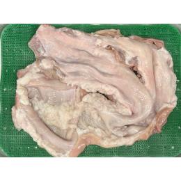 F1Gȏ@Ԑ疇@MA@lݑ((PpbNE1^kg))