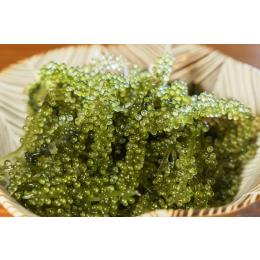 �C�Ԃǂ� �Q�Og�p�b�N�i�Ɩ��p�E���g�̂݁j