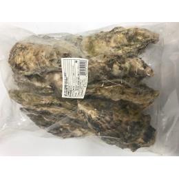 岩手県産（山田湾）殻付き牡蠣１０ｋｇ　大型　プロトン凍結