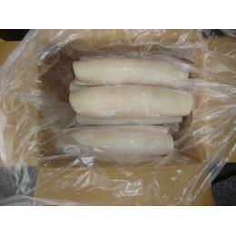 青森県八戸産ムラサキイカロール　B品　5kg