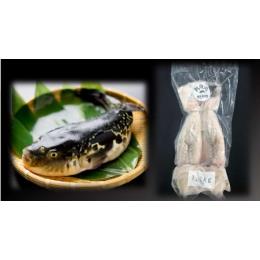 刺身用とらふぐドレス（身欠き）2尾/1kg不定貫　プロトン凍結