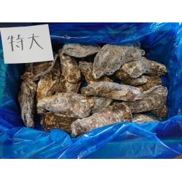 宮城県産冷凍殻付き牡蠣　生食可能　特大　3年子　30個入
