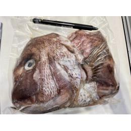【お勧め】愛媛県産養殖真鯛の頭ハーフカット　カマ付き鱗取り