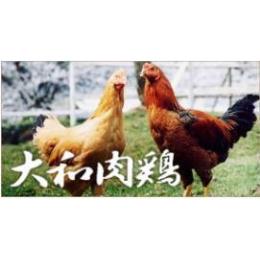 yƖpza{{݂K10((10E1^C/S))