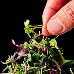 }CNn[u~bNXyw엿E_sgpz((100E1^))