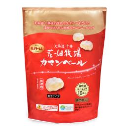 �J�}���x�[���~�j�^�C�v�v���[��10��