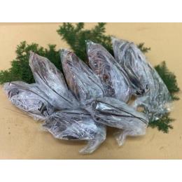 活〆冷凍伊勢海老（160g-180g）