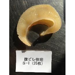 排翅　腹２６枚