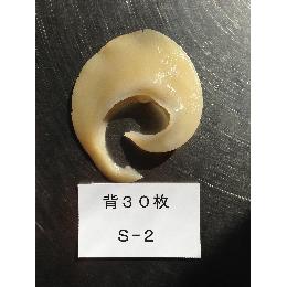 冷凍　排翅背30枚（Ｓ2）