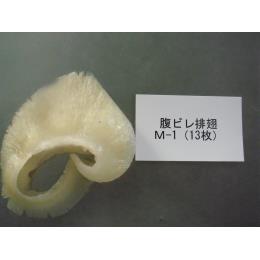 排翅　腹１５枚
