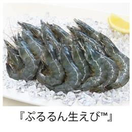 生食用　ぷるるん生えび