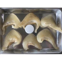 排翅　腹５５枚