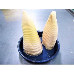 ☆中国産筍筒B大　11kg/缶　～高品質で安全な筍を皆様に～