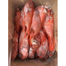 �X���Y���ڑ�@���E���h10kg�@330g/450g�@��30������((10kg�^��))