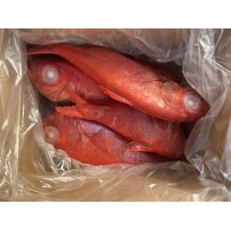 �X���Y���ڑ�@���E���h�@5kg�@��700g/��