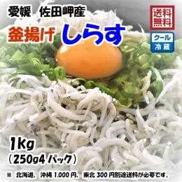 釜揚げしらす 1kg （250g×4p）冷蔵便 愛媛 佐田岬産