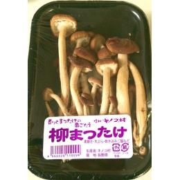 V柳まつたけ
