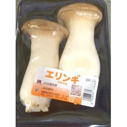 Vｼﾞｬﾝﾎﾞｴﾘﾝｷﾞ