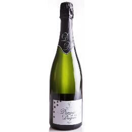 CPާƵ۽ޭ 750ml(750ml/{~6/CTNE1^C/S)