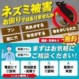 ネズミボウジョ