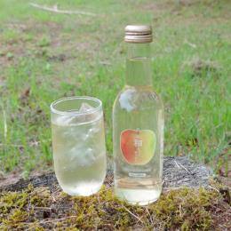 a񂲃TC_[(1{250ml@24{E1^)