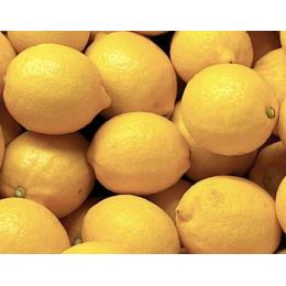 ܂Ŏg鐣˓Ђ낵܃_Ehܕsgp