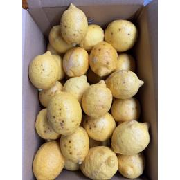 y󂠂iz˓Ђ낵܃@_Ehܕsgp