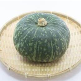 ���ڂ���i���т��j