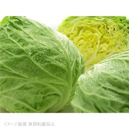 【特売品】キャベツ