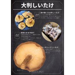 【調理不要･インスタ映え】傘が開いた大判しいたけ【有機JAS】【冷凍】