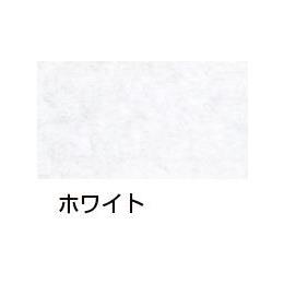 {̋Ɩp^IizCgjFfB[vJ[@tFCX^I(10E1)
