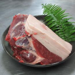 �����V���^�}�i�u���b�N�j