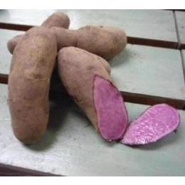 ■北海道産ノーザンルビーピンク色の馬鈴薯
