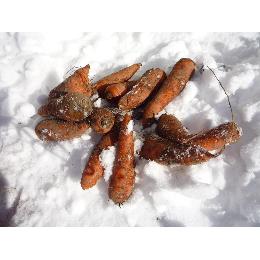 kCYnIsłIĂĂtቺlQ(10KG^)
