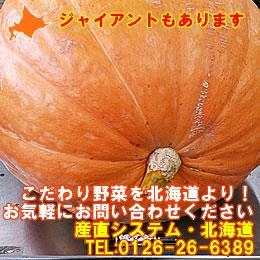 yWCAg`~j܂ŗlXIzkCY@nEBZ((20KGʁ^))