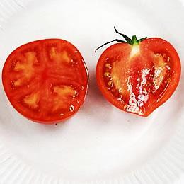 【期間限定！高糖度で美味しい！】長崎県産「ソプラノフルーツトマト」