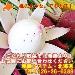 【桃のようにペロッと皮が♪桃カブ】北海道産　もものすけカブ