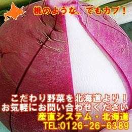 ŷ悤ɃybƔ炪JuzkCY@̂Ju((10^C/S))