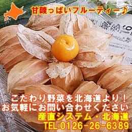 【トロピカルな甘味！フルーツ感覚♪】北海道産　フルーツほおずき