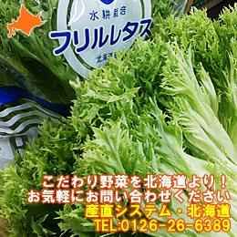 【サラダボリュームUP！通年供給】北海道産　フリルレタス