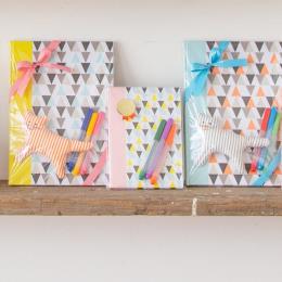 OPP��170mm�~270mm100��(100���E1��)