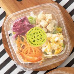 ���۰ټ��/������������-42(500���E1��)