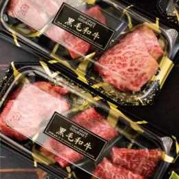 �گ��̰��۰ټ��/�����iֺ�j-21(500���E1��)